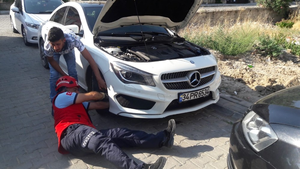 Burhaniye’de aracın motoruna giren kediyi itfaiye çıkardı 
