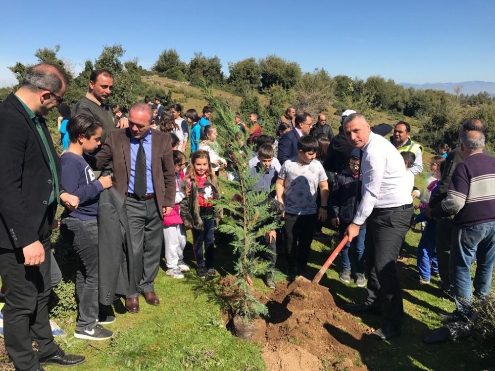 Burhaniye’de Kaymakam Öner, öğrencilerle birlikte fidan dikti 