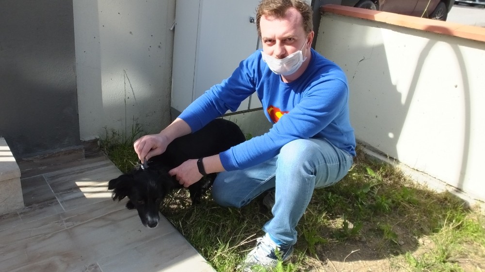 Burhaniye’de köpeklere aşı 