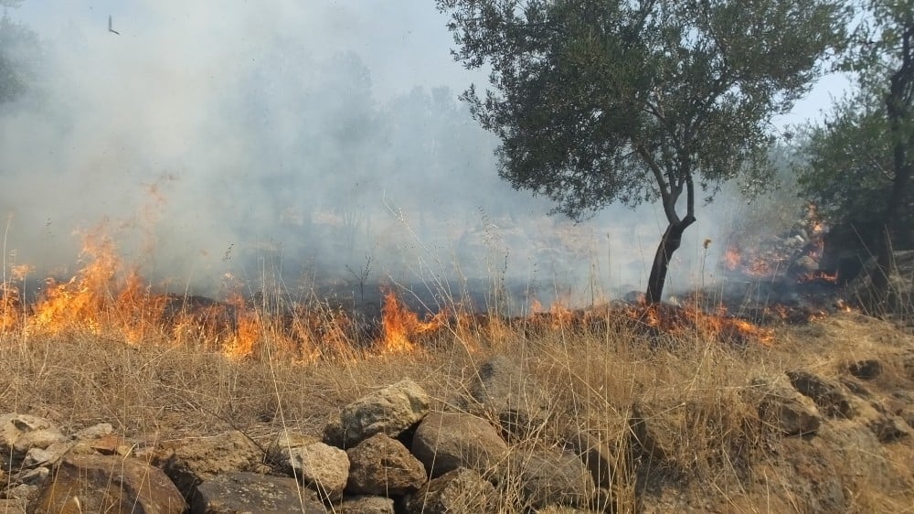 Burhaniye’de makilik alanda çıkan yangın zeytinliklere sıçradı 