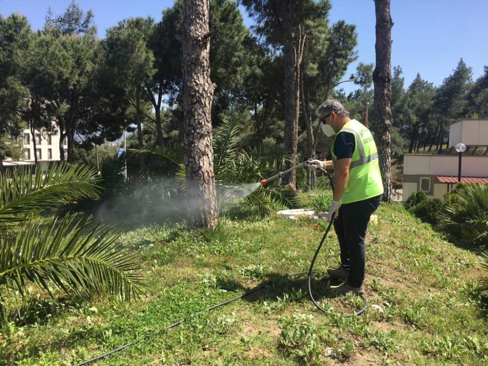 Burhaniye’de parklar dezenfekte edildi 