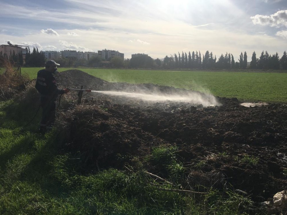 Burhaniye’de sivrisinek mücadelesi devam ediyor 