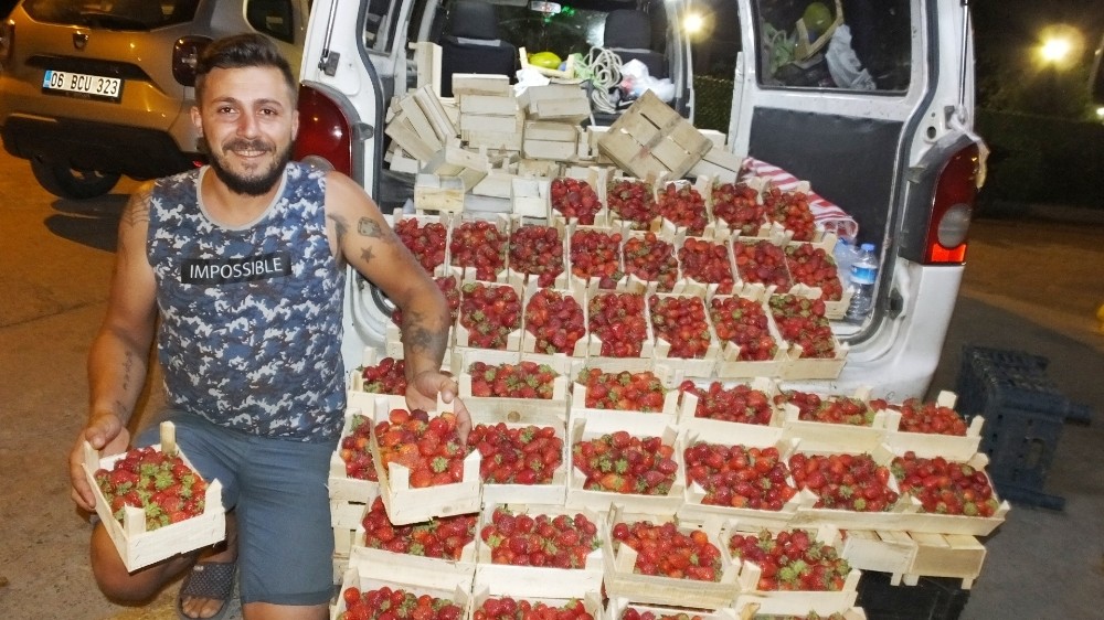 Burhaniye’de Yazlıkçılar Kazdağı çileğini sevdi 