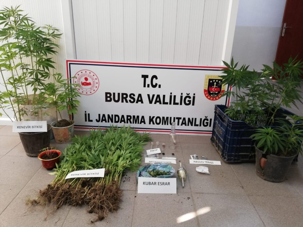 Bursa jandarmadan uyuşturucuya geçit yok 