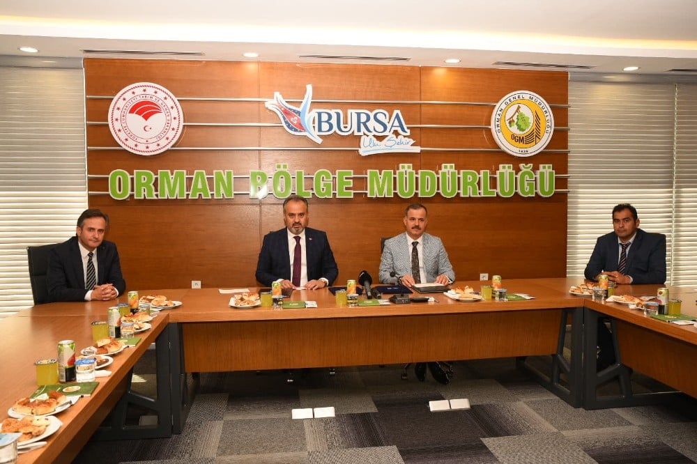 Bursa menşeili ağaçlar küllerinden doğacak 