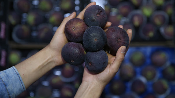 'Bursa siyahı'nı en çok Almanlar ve Hollandalılar  tüketiyor