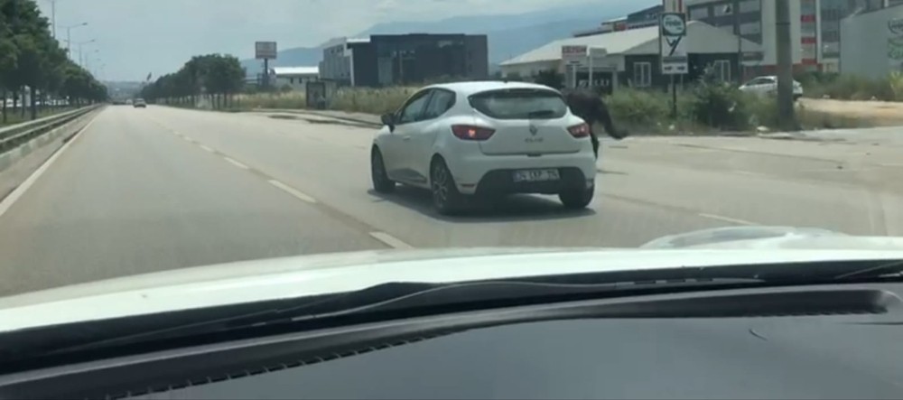 Bursa trafiğinde dört nala koştu 
