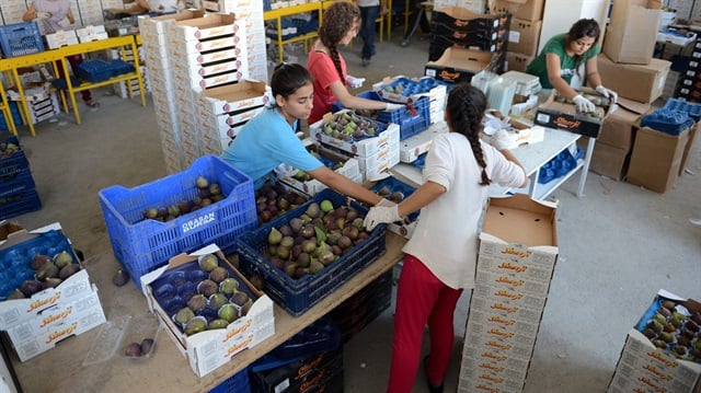 Bursa üretiyor 22 ülke tüketiyor