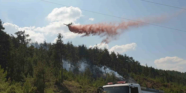 Valilik duyurdu! Ormanlarda ateş yakmak yasak