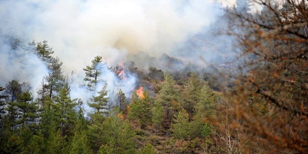 Bursa Valiliğinden orman yangını uyarısı