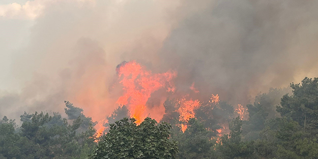 Bursa Valisi Demirtaş yangın söndürme çalışmalarını yerinde inceledi!