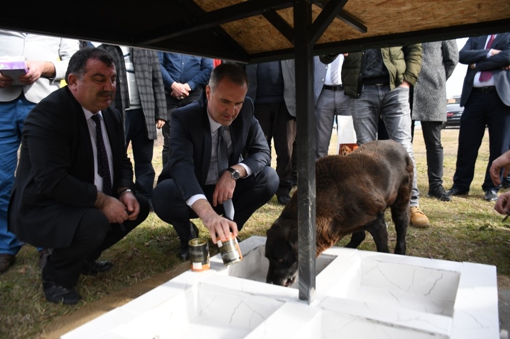 Bursa’da 10 patiye iyilik projesi 