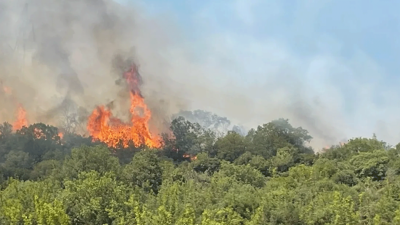 Bursa'da 23 saatlik kabus! Orman yangını güçlükle kontrol altına alındı