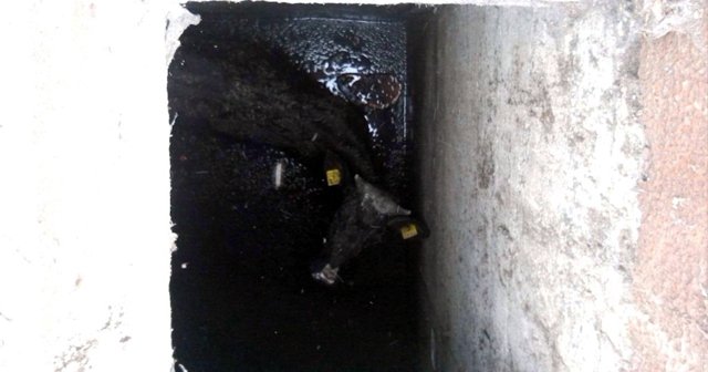 Bursa'da 3 buçuk saat boyunca kurtarılmayı bekledi!