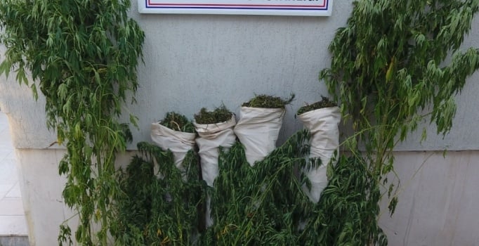 Bursa'da 30 kilogram esrar ele geçirildi