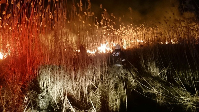 Bursa'da 50 dönümlük sazlık alanda yangın