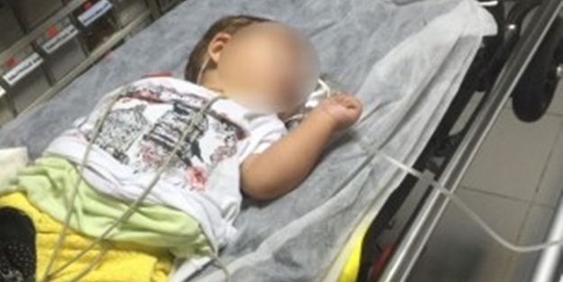 İnanılır gibi değil! 8 aylık bebek bonzai...