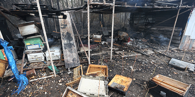 Bursa'da ağaçlık alanda çıkan yangın söndürüldü