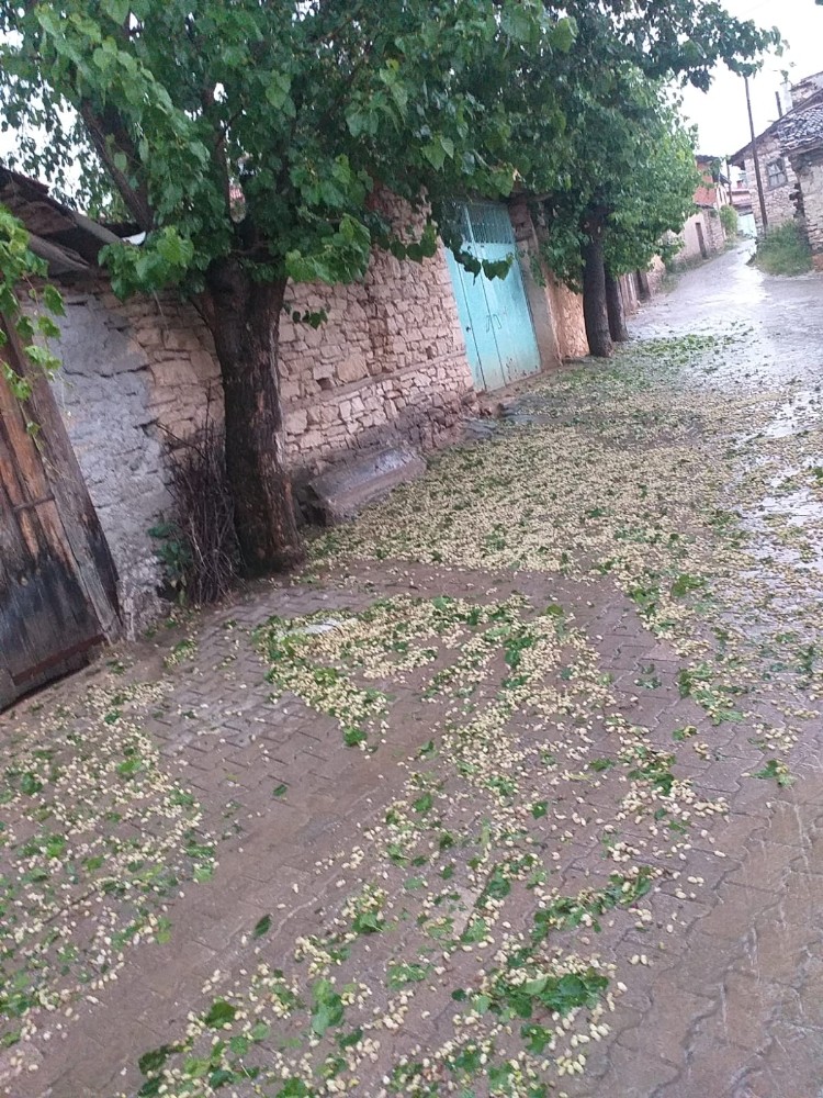 Bursa’da ceviz büyüklüğündeki dolu kiraz ve çileğe büyük zarar verdi 