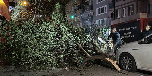 Bursa'da devrilen ağacın altında kalan otomobil hasar gördü
