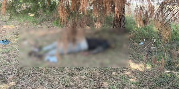 Bursa’da esrarengiz! Bakım için gelenler bakın ne buldu