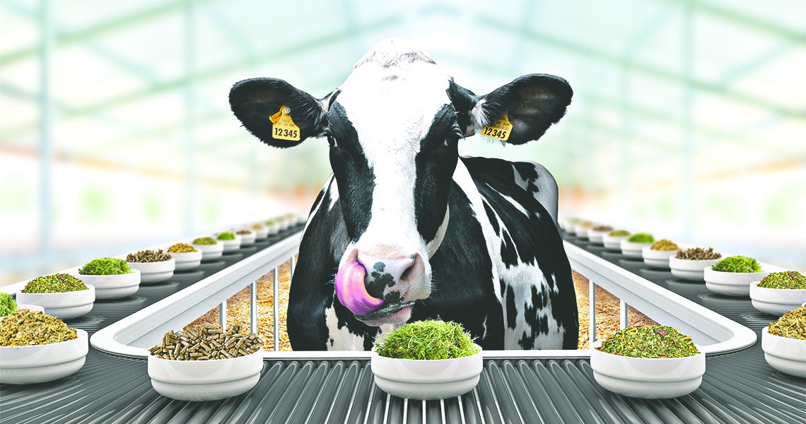 Bursa’da hayvanların beslenmesi ve kesim yöntemleri konuşuldu