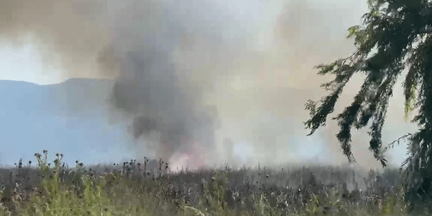 Bursa’da iki farklı noktada anız yangını