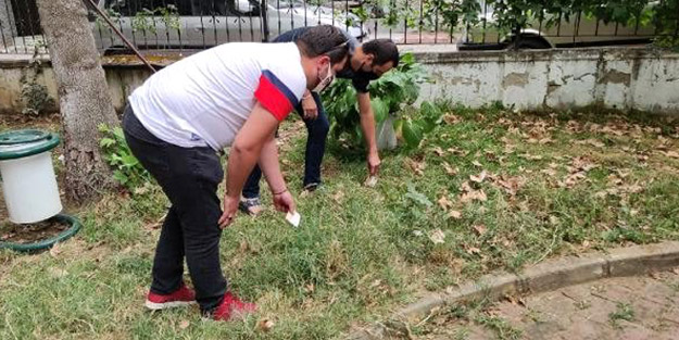 Yerden mantar toplar gibi 20 bin TL değerinde döviz topladılar