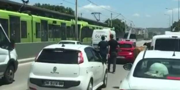 Kaçan boğalar trafiği birbirine kattı