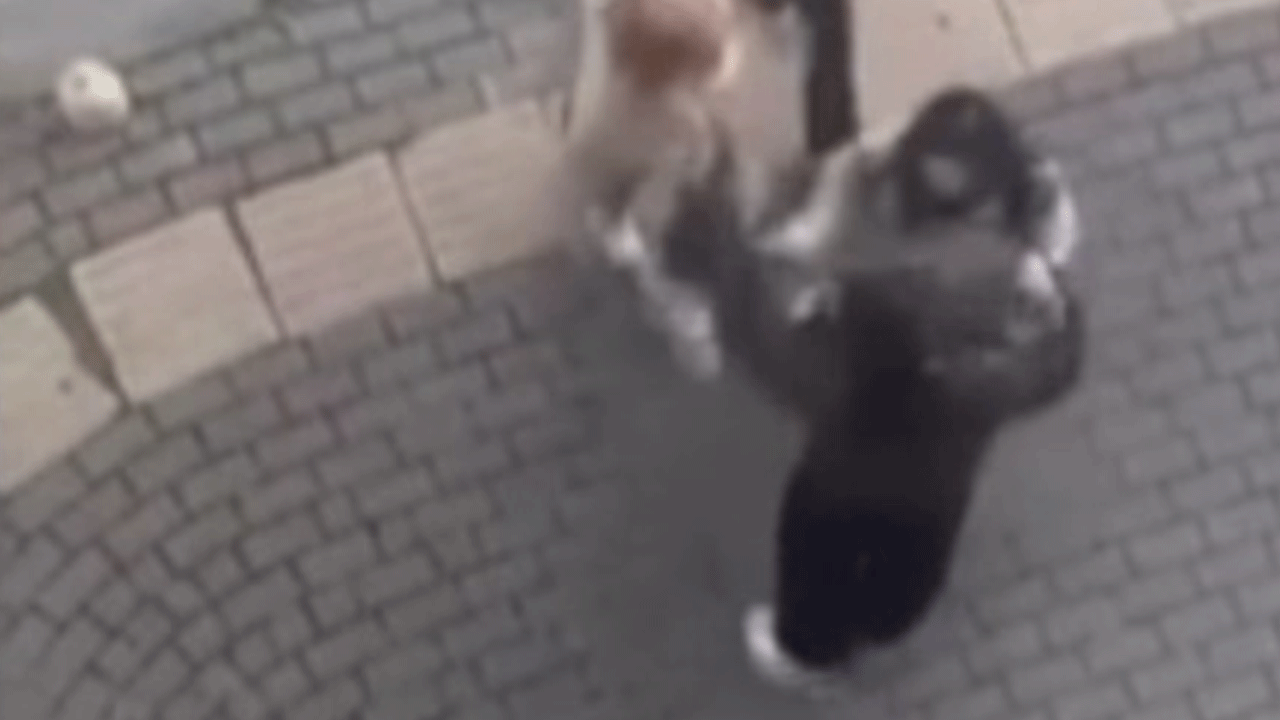 Bursa'da kadınların saç saça kavgası kamerada!