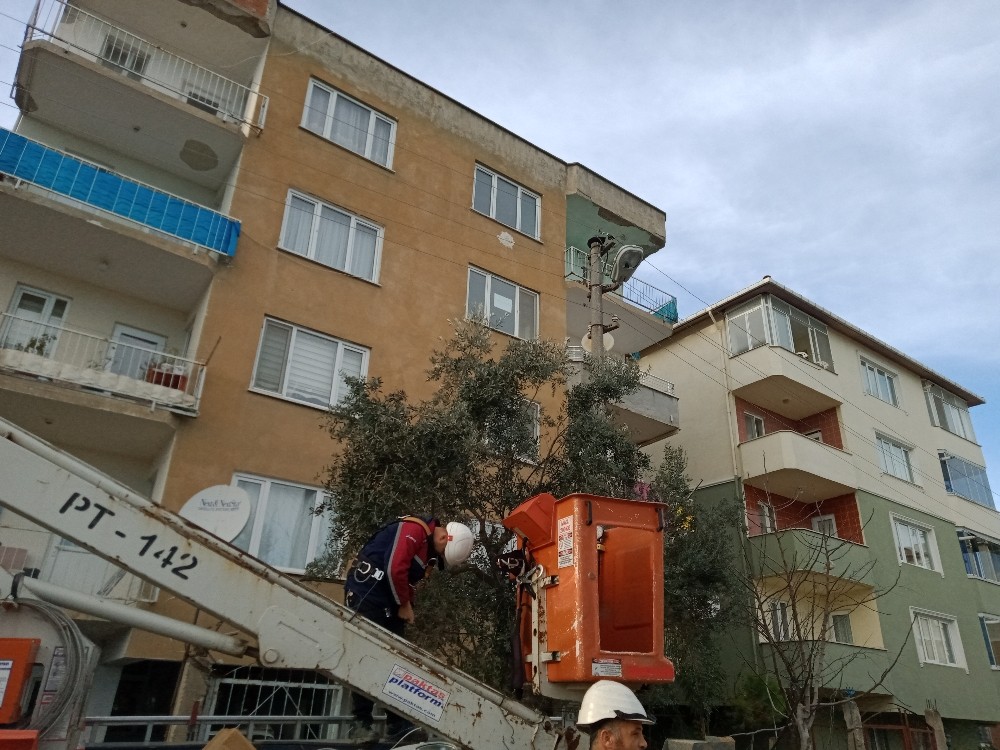 Bursa’da kedi kurtarma operasyonu 