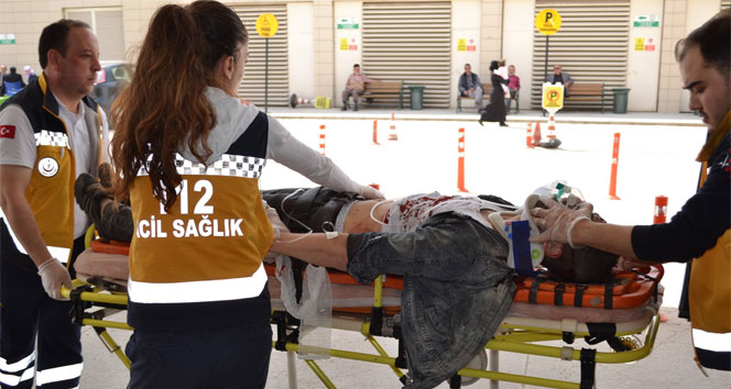 Bursa'da köpeğe çarpan otomobil takla attı