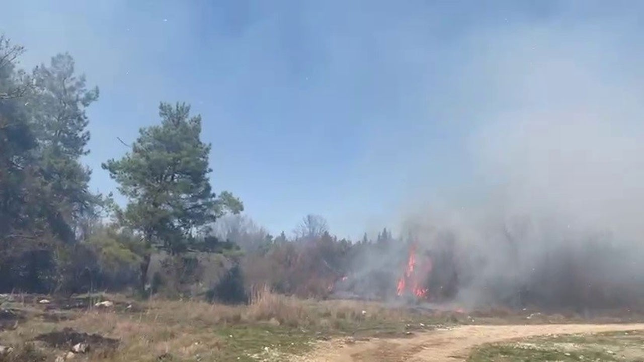 Bursa’da korkutan orman yangını! Müdahale devam ediyor