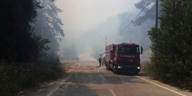 Bursa'da korkutan yangın! Ekipler bölgede