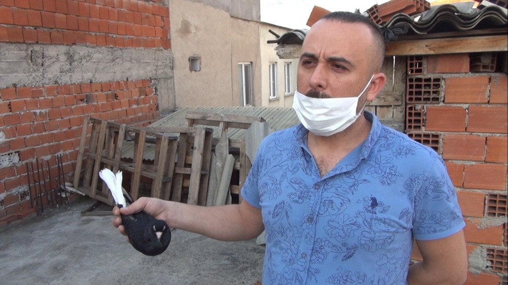 Bursa’da motosiklet fiyatına güvercin 