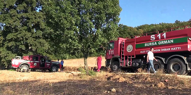 Bursa'da orman yangını! Çok sayıda ekip sevk edildi