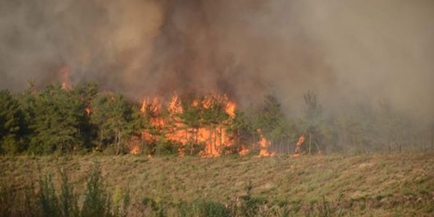 Bursa cayır cayır yanıyor!
