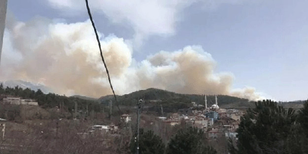 Bursa'da orman yangını