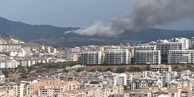 Bursa’da orman yangını