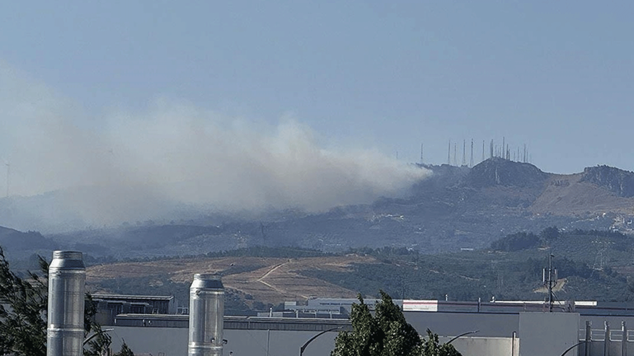 Bursa'da orman yangını