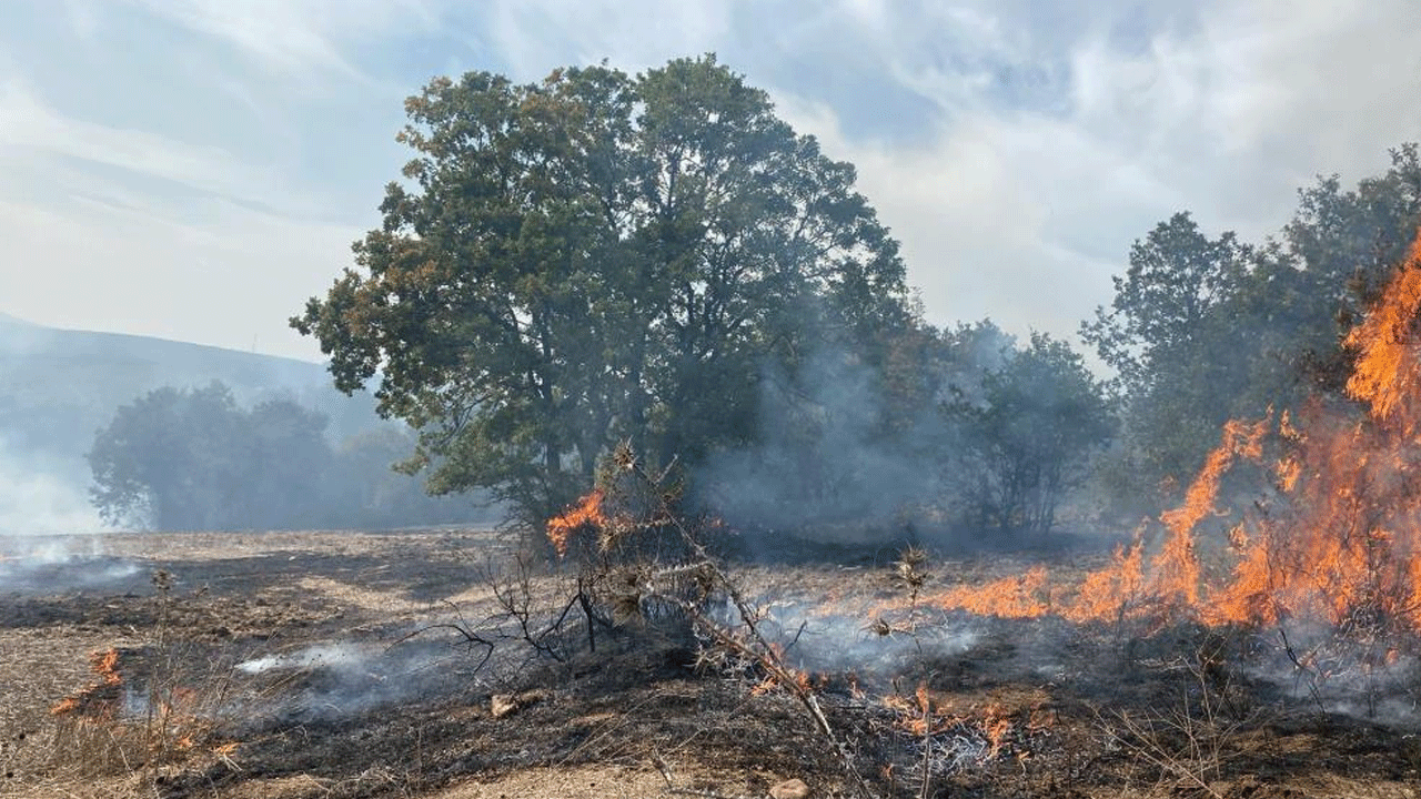 Bursa'da peş peşe orman yangını