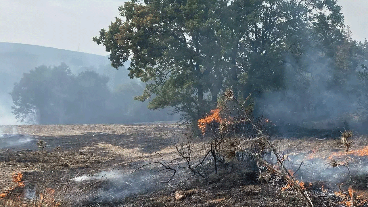 Bursa'da rahatlatan haber geldi