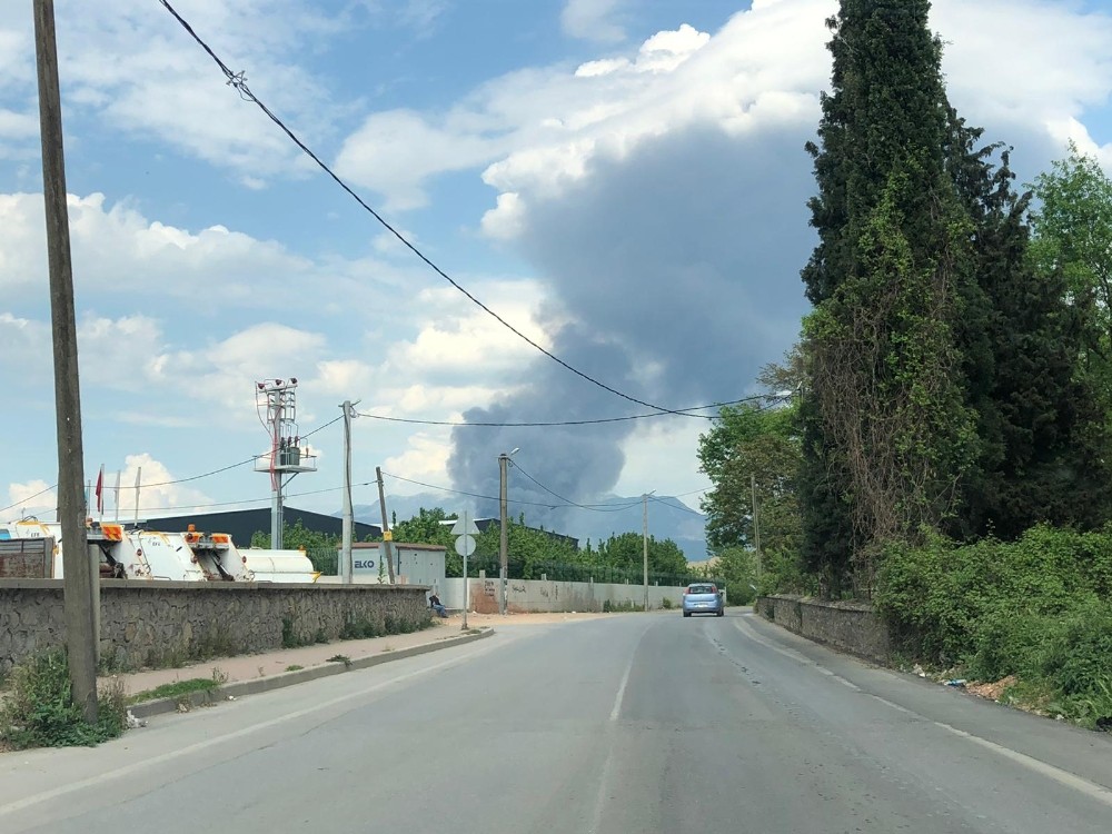 Bursa’da soğuk hava deposunda yangın 