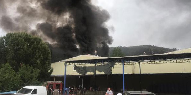 Bursa'da soğuk hava deposunda yangın! 40 ton meyve-sebze kül oldu