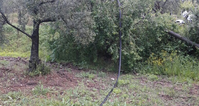 Bursa'da telefon kablolarını çaldılar