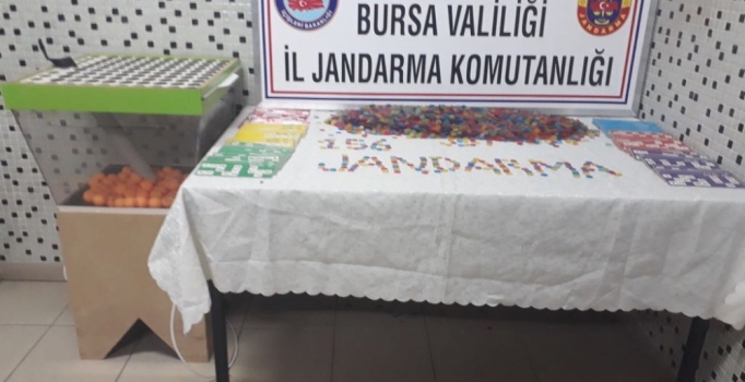 Bursa'da tombala operasyonu