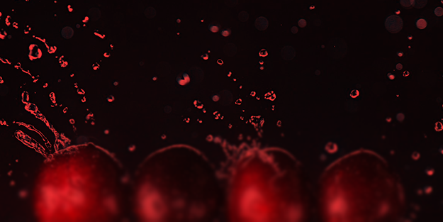 Bursa'da üretiliyor! Almanya, İngiltere, Avusturya ve Fransa tonlarcasını almak için Türkiye'nin kapısını çaldı