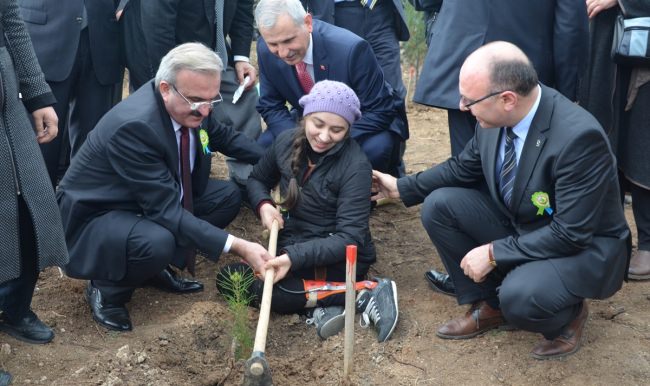 Bursa'da yanan orman alanına 3 bin fidan dikildi