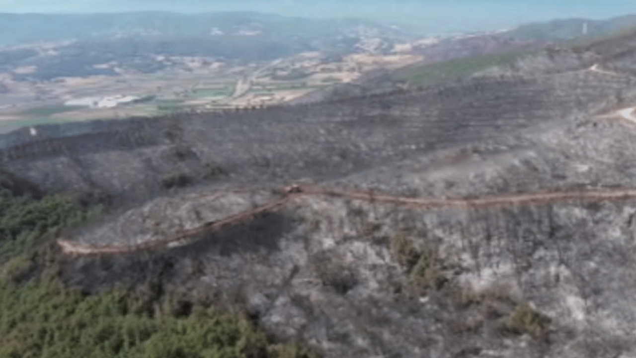 Bursa'da yanan ormandan geriye gri alanlar kaldı!