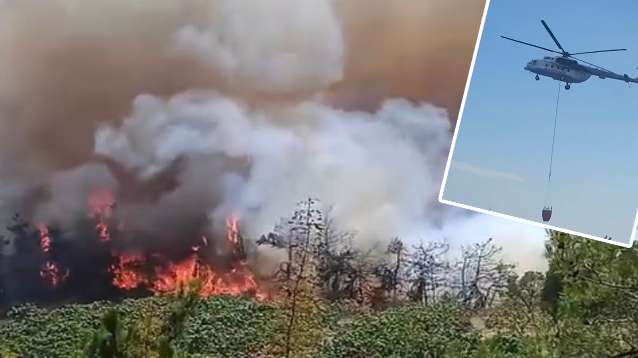 Bursa'daki orman yangını havadan ve karadan müdahaleye rağmen büyüyor! Köylülerden de yardım istendi